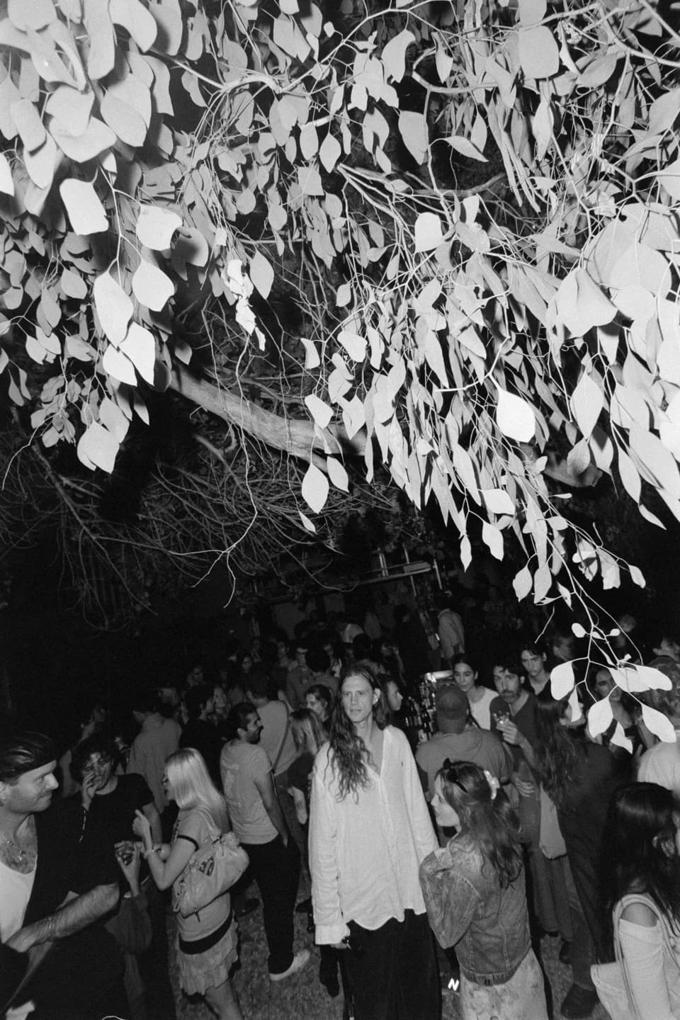 Guests gathered under leafy branches, in black and white