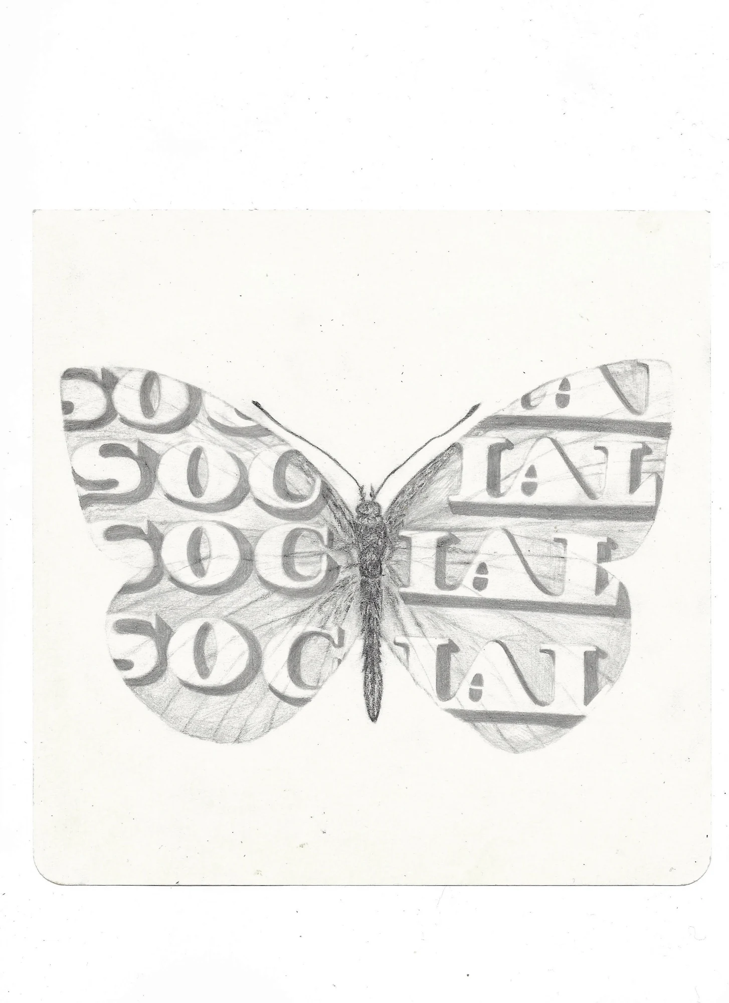 Mae Noland, Social Butterfly, 2025.